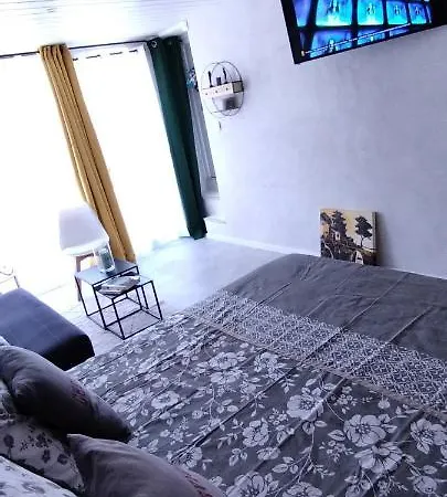 Le Cosy Joli F2 Proche Gare, Arenes Avec Terrasse Privee Lägenhet *