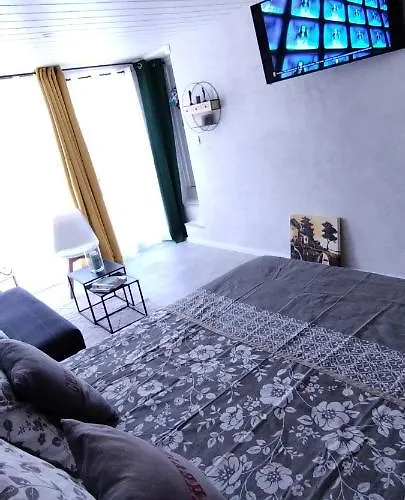 Le Cosy Joli F2 Proche Gare, Arenes Avec Terrasse Privee Apartment *