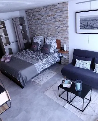 Le Cosy Joli F2 Proche Gare, Arenes Avec Terrasse Privee